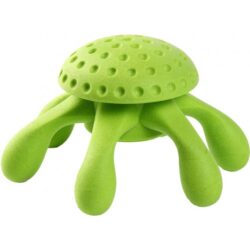 Kiwi Octopus Vert M