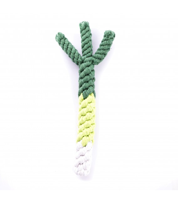Jeu Corde Poireau S