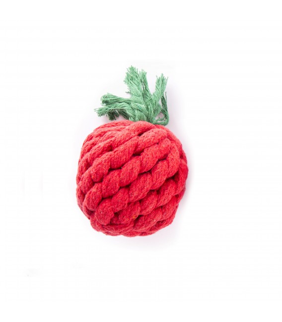 Jeu Corde Tomate S