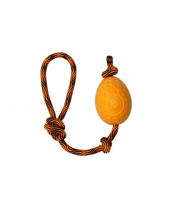 Kiwi Egg Orange Maxi
