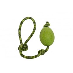 Kiwi Egg Vert Maxi