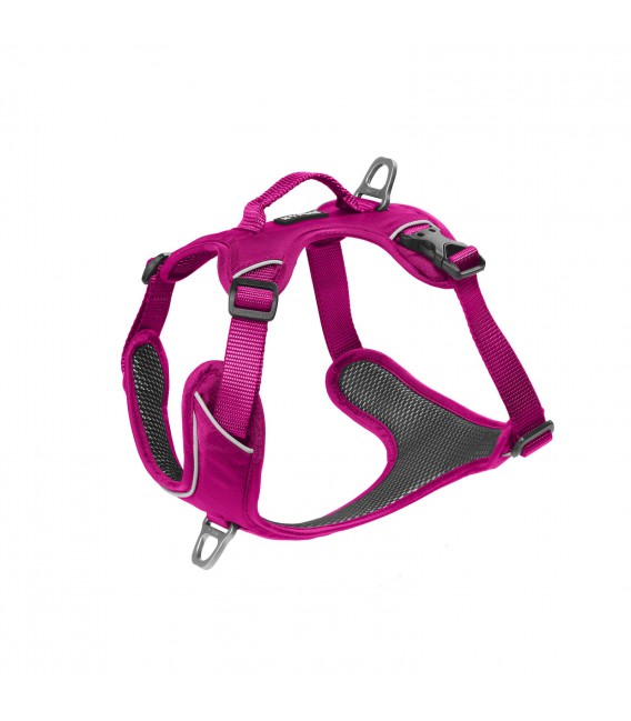 Kyflie Harnais Momentum Xs Rose