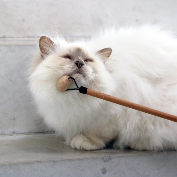 Socialisateur chat LOU en bois, 4x2x35cm – Bild 4