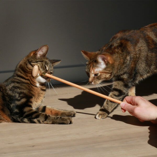 Socialisateur chat LOU en bois, 4x2x35cm – Bild 5