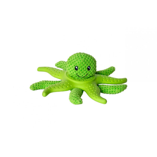 Kiwi Octopus & Starfish Vert