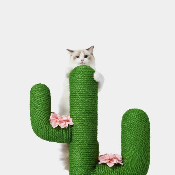 Griffoir Oasis Cactus M – Bild 4