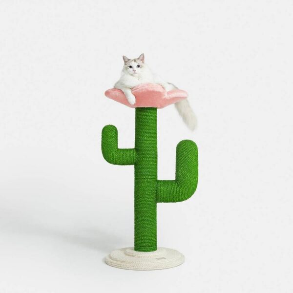Arbre à chat Blooming Cactus M – Bild 3