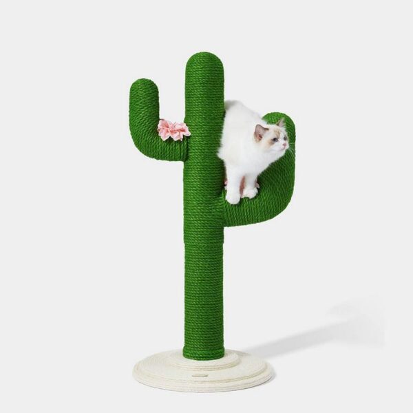 Griffoir Oasis Cactus M – Bild 2