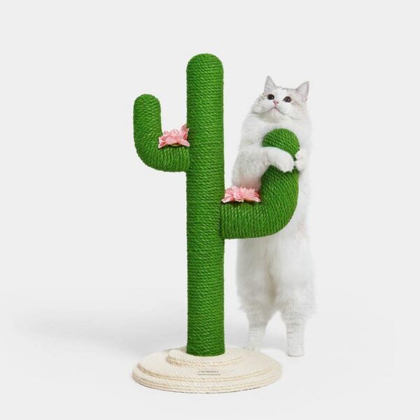 Griffoir Oasis Cactus L – Bild 4