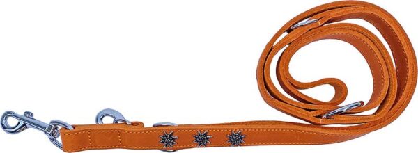Laisse Edelweiss en cuir souple