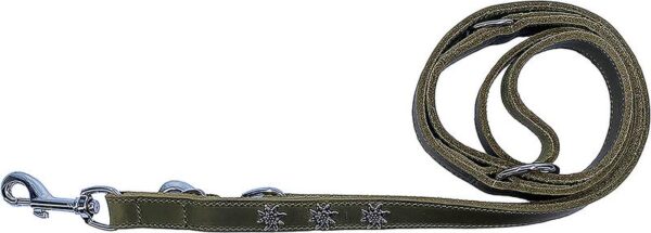 Laisse Edelweiss en cuir souple