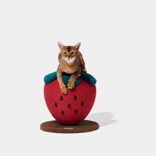 Griffoir rond Strawberry – Image 2