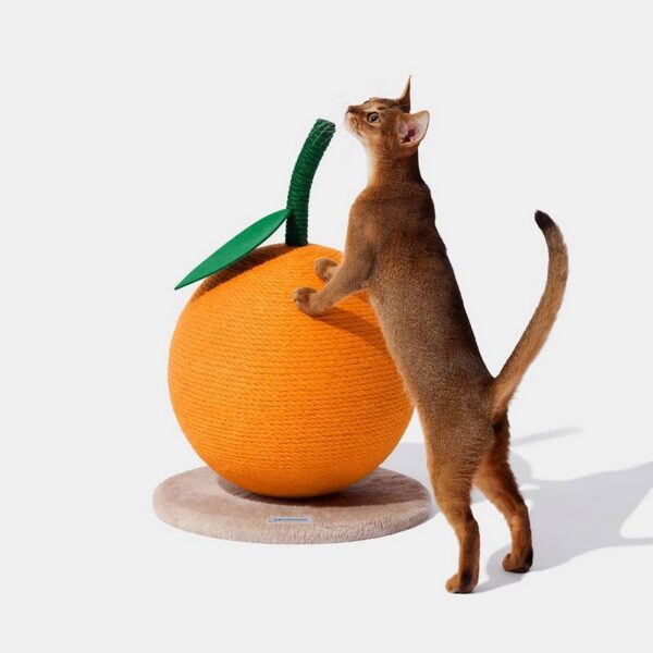 Griffoir rond Tangerine – Bild 2