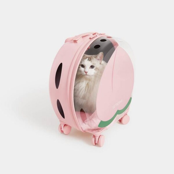 Caisse de transport Bubble – Image 3