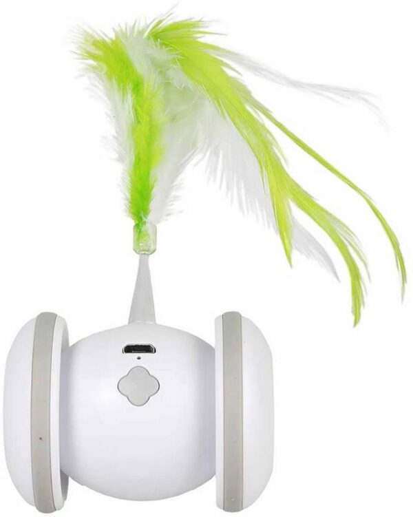 Racing Roller Mini – Bild 4